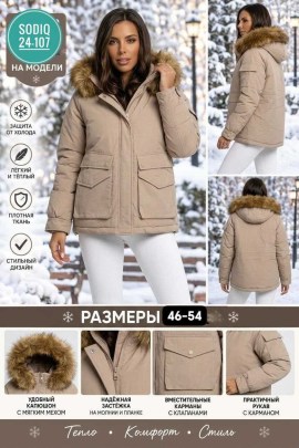 Верхняя одежда