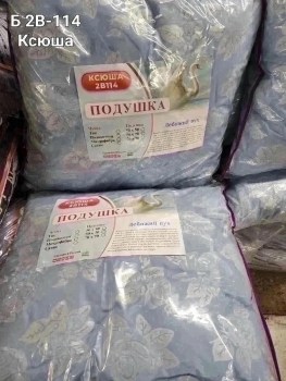 Одежда