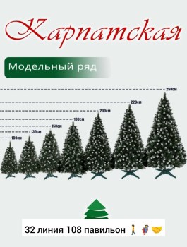 Одежда