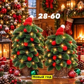 Одежда