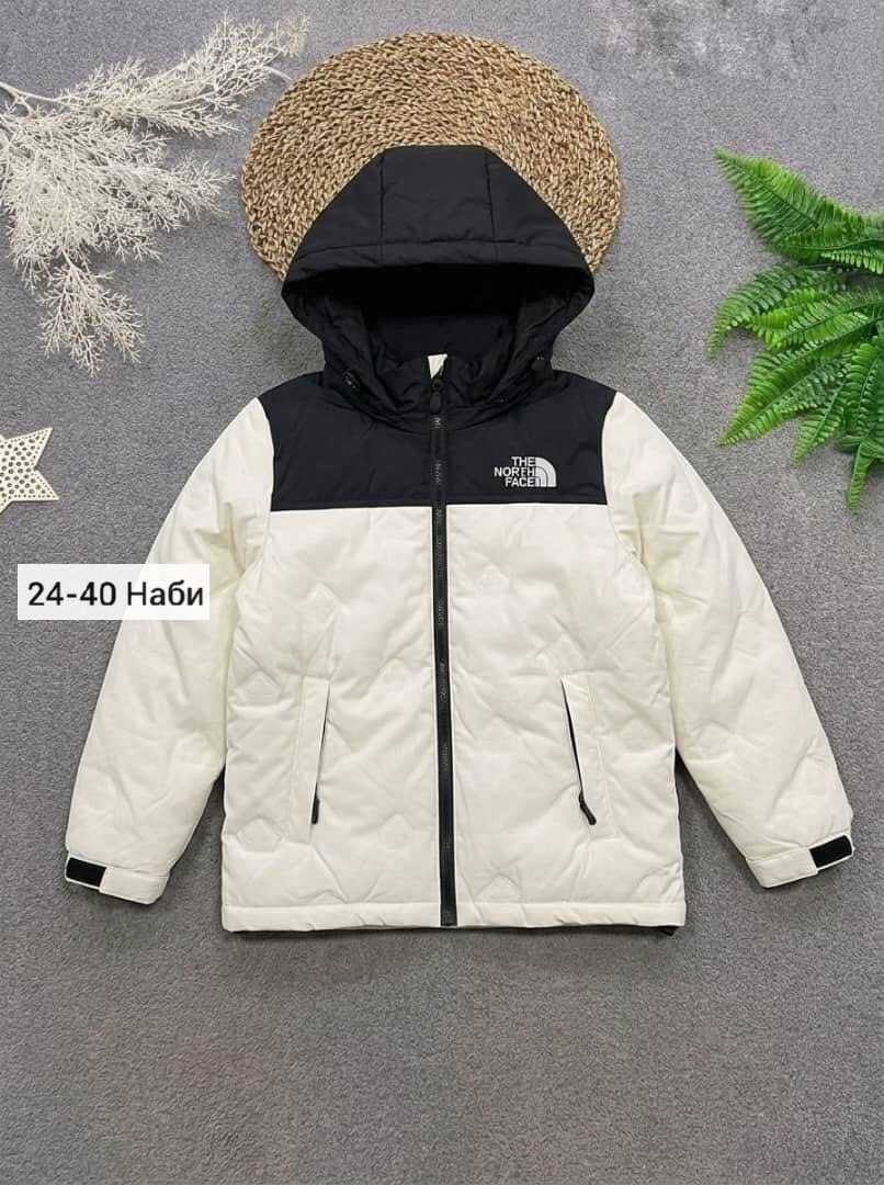 куртка демисезонная,куртка,зимняя куртка the north face,зимняя куртка,куртка зимняя для мальчика