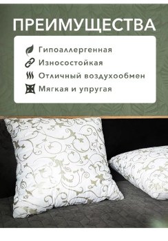 Одежда