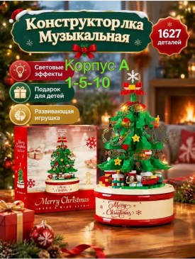 Одежда