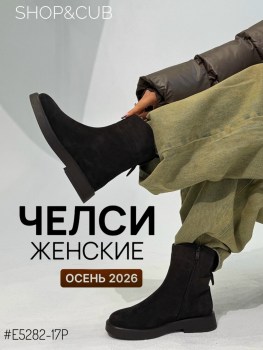 Одежда