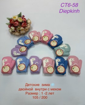 Одежда