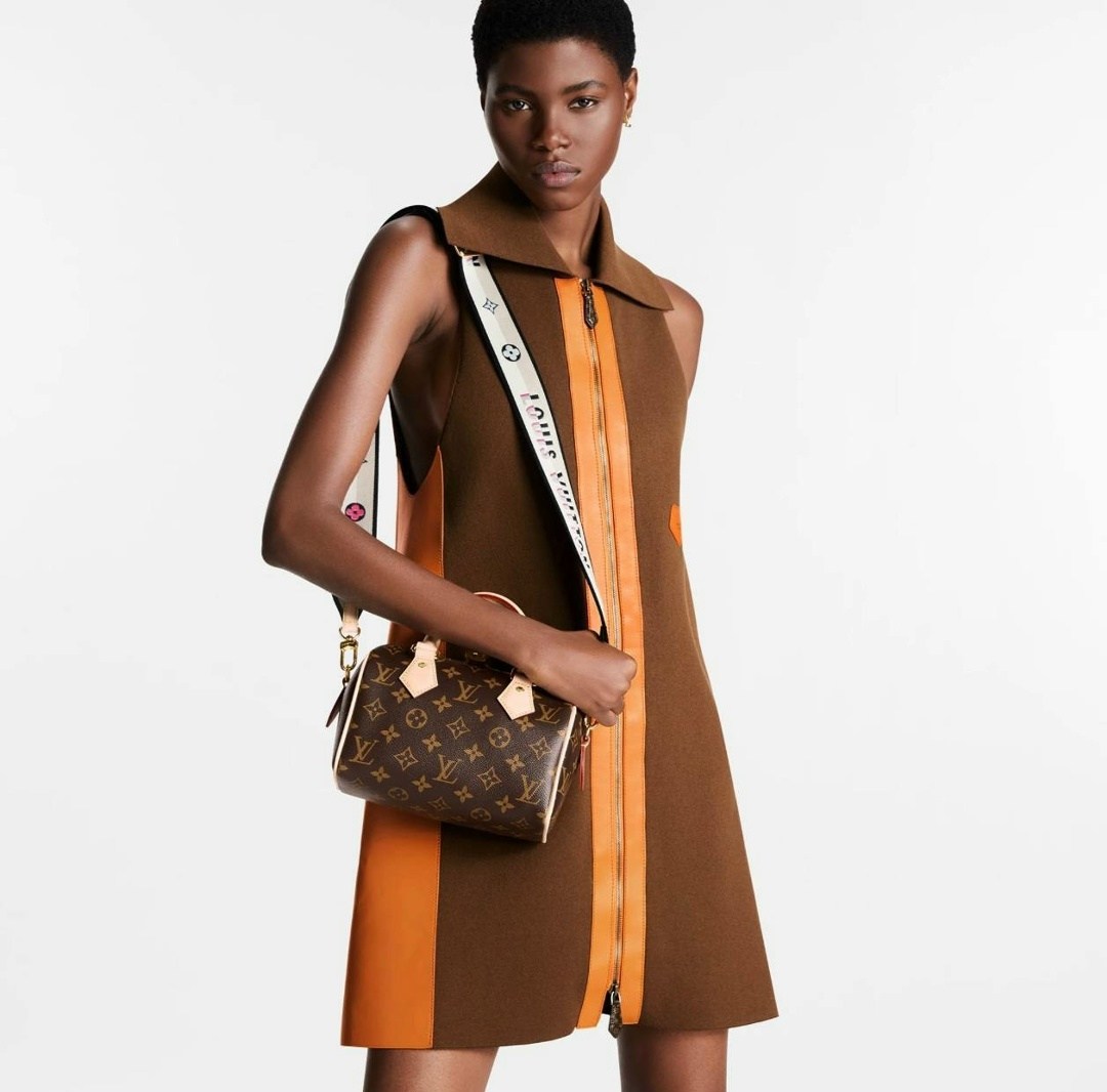 cумка louis vuitton,louis vuitton сумка на плечо,сумки луи виттон,louis vuitton женская сумка,louis vuitton speedy