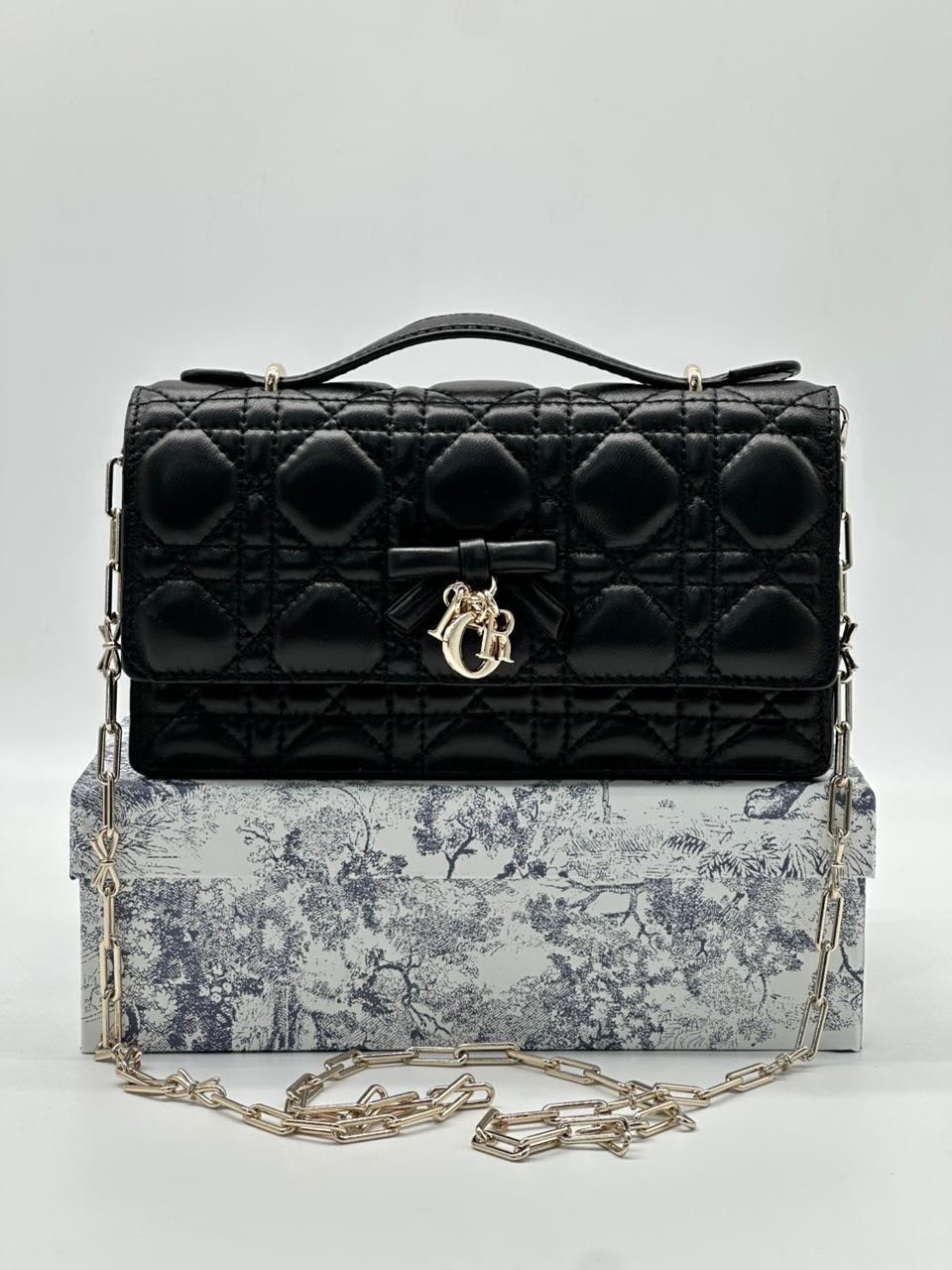 dior сумка,dior сумка женская,сумка женская christian dior,сумка dior my dior,сумка christian dior модная