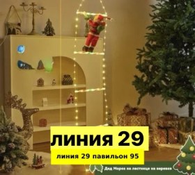 Одежда