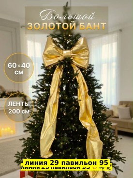 Одежда