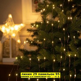 Одежда