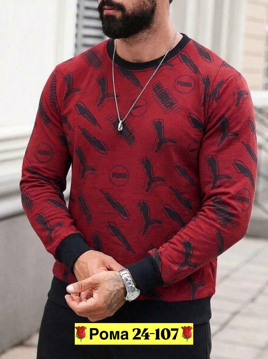 кофта мужской,мужской джемпер,мужская мода,футболки мужские,толстовки для мужчин