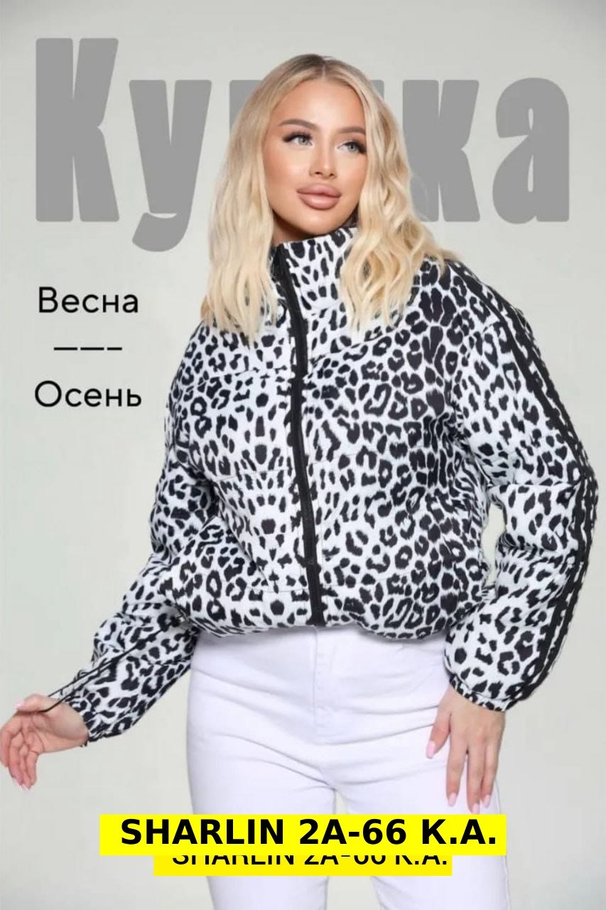 женская демисезонная куртка,куртки женские весна,весенние куртка,куртка женская,демисезонная куртка