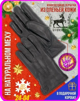 Одежда