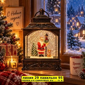 Одежда
