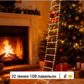 Одежда