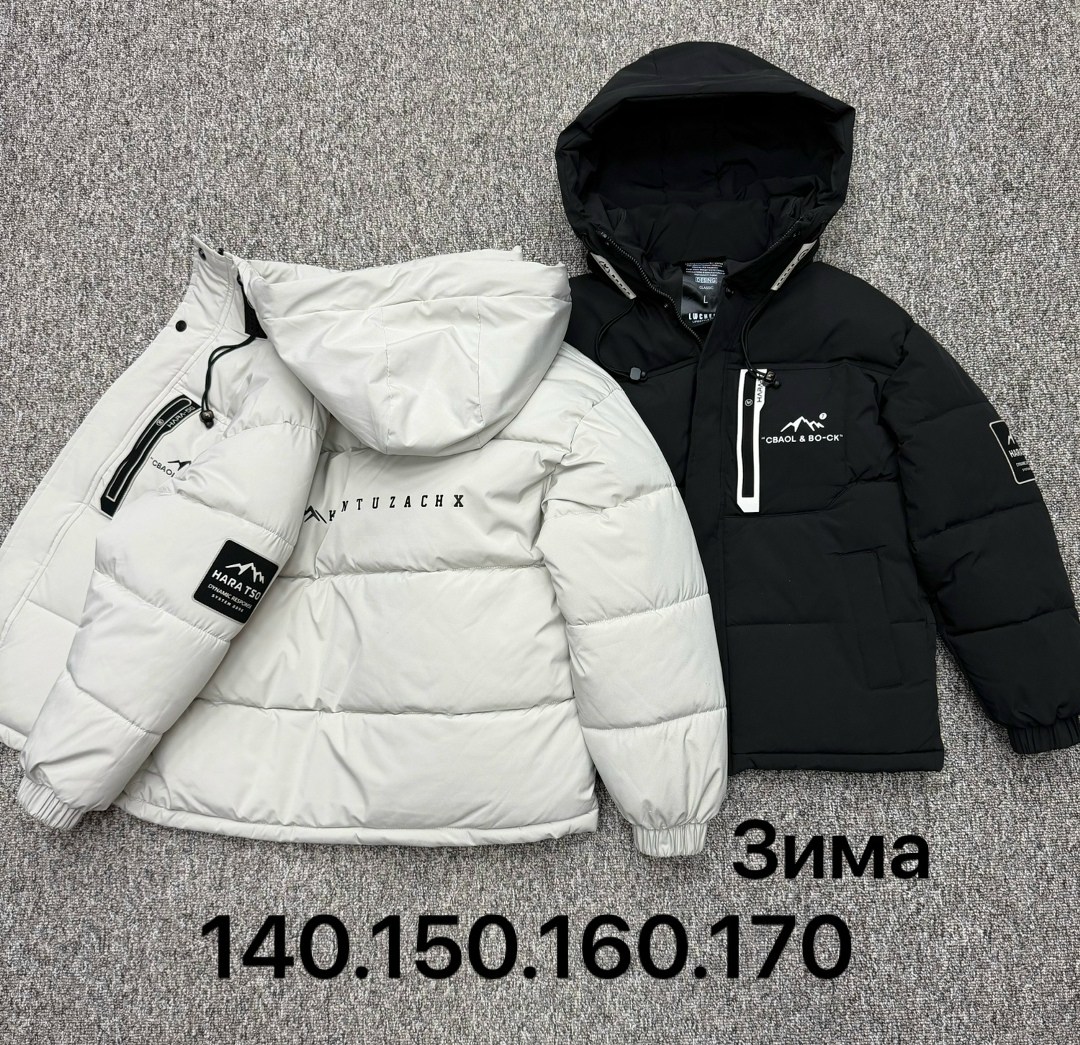 куртка зимняя adidas мужская,куртка зимняя adidas,куртка зимняя,мужская зимняя куртка,куртка зима