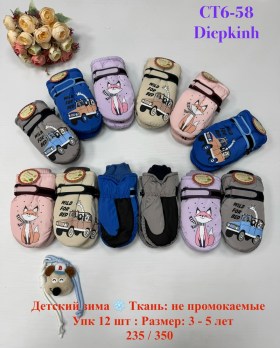 Одежда